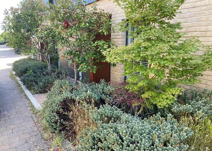 Homely & Warm Trumpington House W Parking, 5 Mins Drive To Bio Medical Campus, Addenbrooke\'S & Papworth Hospitals
