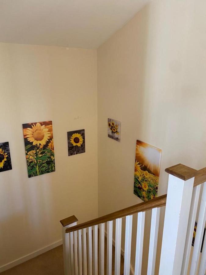 Contemporary Trumpington House: Bio-medical Campus Proximity Holiday home *