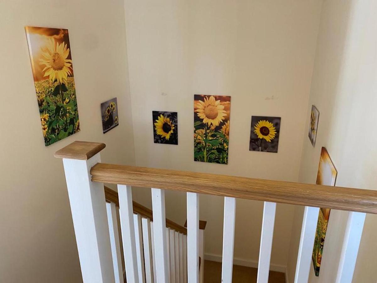 Contemporary Trumpington House: Bio-medical Campus Proximity Holiday home